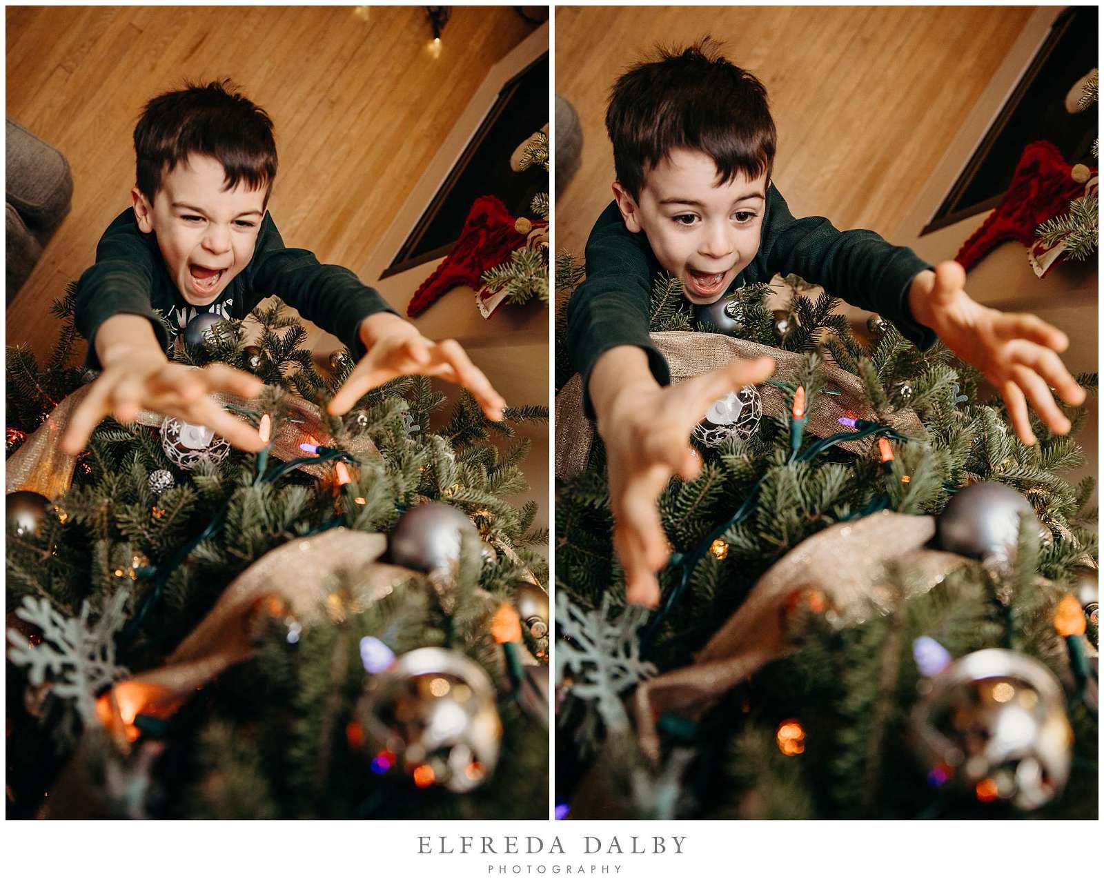 A little boy is trying reach for the star on the Christmas tree