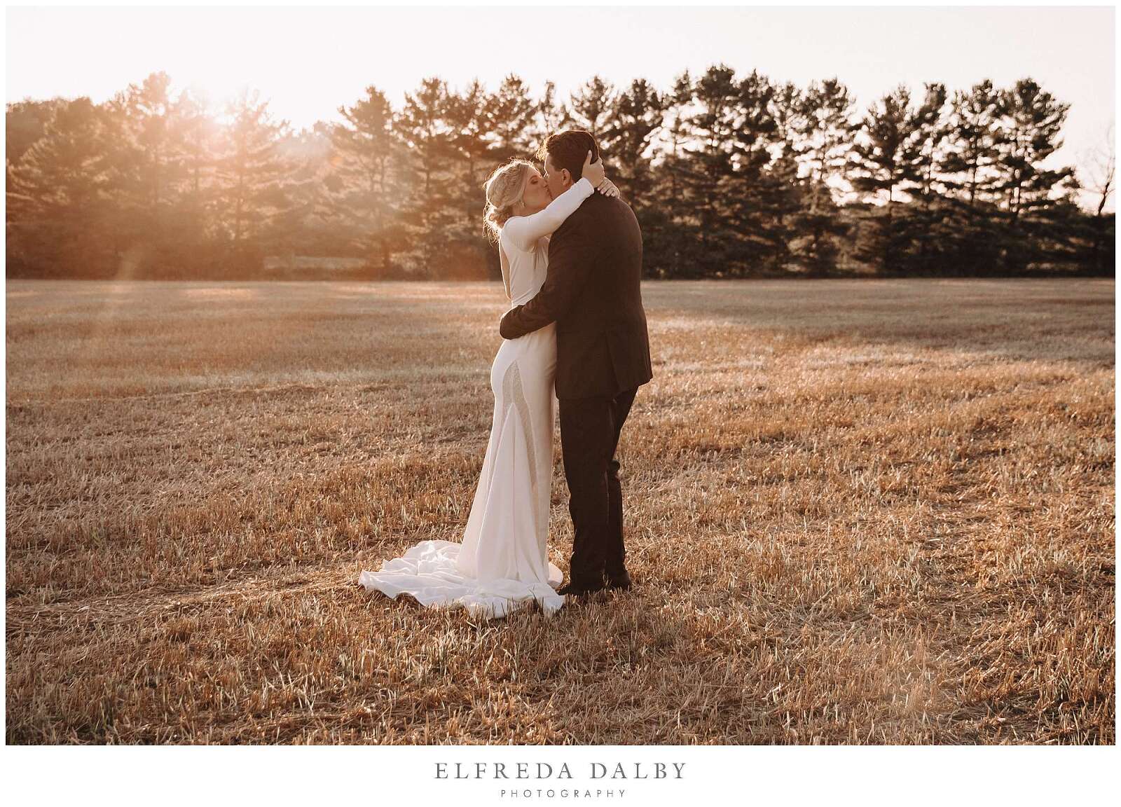 Wedding couple kissing in a farm field at sunset
