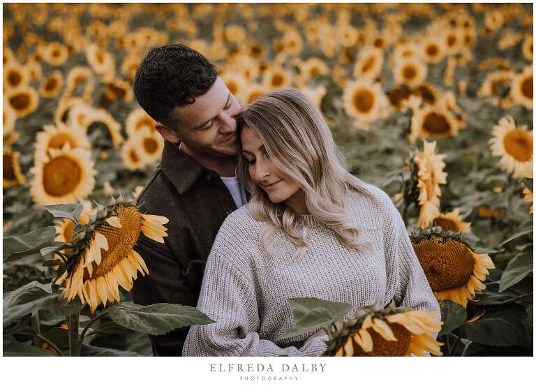 Couple standing in a sunflower field