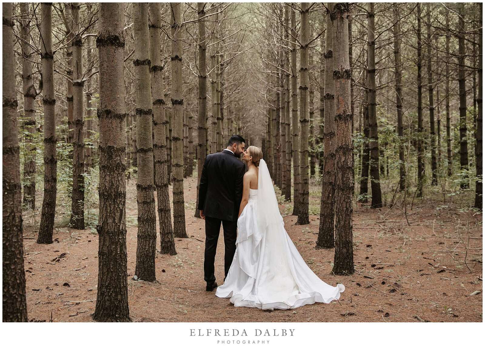 Bride and groom walking between a row of pine trees