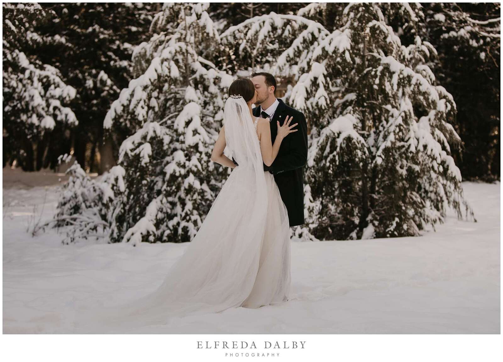 Bride and groom kissing in the snow in Elora